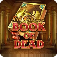Sweet Bonanza gameplay guide